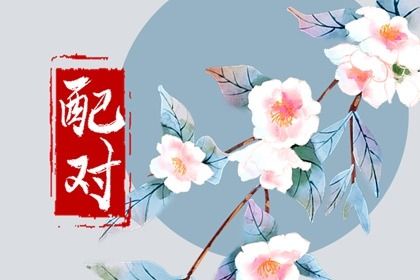 常见合婚误区